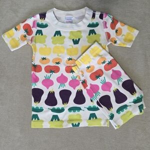 Hanna Andersson Spring Veggie Print Organic Cotton Pajamas Size 4